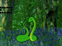 Joshua Tree Forest Snake Escape