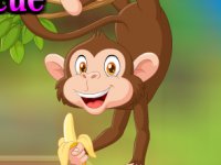 Gentle Banana Monkey Rescue