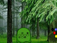G2R Communal Forest Escape