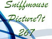 Sniffmouse PictureIt 267