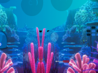 Underwater Lionfish Escape