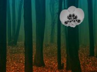 Mystical Halloween Forest Escape