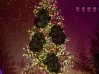 Fantasy Christmas Tree Forest Escape