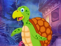 Skating Tortoise Escape