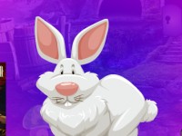 Anile Bunny Escape