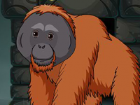 The Orangutan Escape