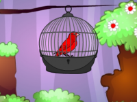 Red Bird Escape
