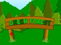 SD Green Forest Escape