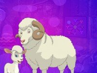 Sheep And Lamb Escape