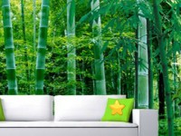 Bamboo Forest House Escape