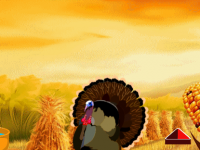 Thanksgiving Turkey 2020 Escape