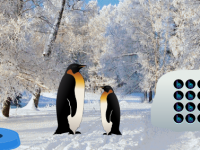 Penguin Snow Land Escape