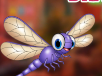 Enchanting Dragonfly Escape