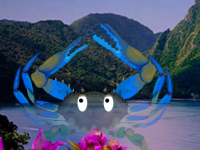 Crab Island Escape
