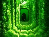 Growing Green Tunnel Escape