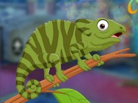 Unsightly Chameleon Escape