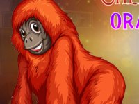 Cheerless Orangutan Escape