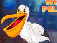 Lovable White Pelican Escape