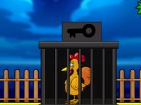 Serama Chicken Escape