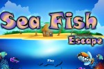Sea Fish Escape