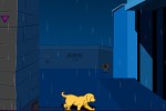 Dog Rescue from Rain