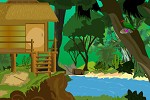 Amazon Forest Escape