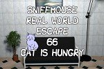 Sniffmouse Real World Escape 66 Cat Is Hungry