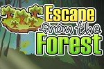 Escape from the Forest