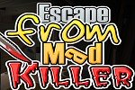 Escape from Mad Killer