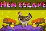 Hen escape
