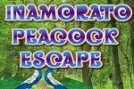 Inamorato Peacock Escape