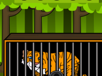 Sumatran Tiger Escape