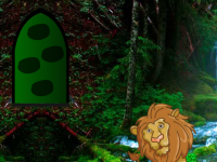 Amazon Lion Forest Escape