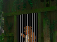 Help The Trapped Bear