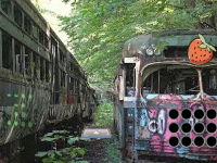 Abandoned Train Forest Escape