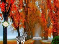 Autumn Zebra Forest Escape
