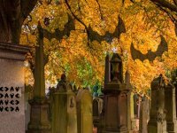 Autumn Graveyard Escape