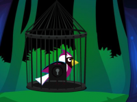 Rescue The Pink Bird