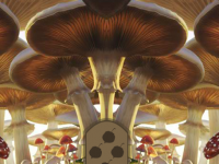 Giant Mushroom Girl Escape