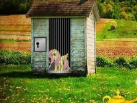 Rescue The Mini Pony