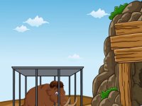 Brown Elephant Escape From Cage