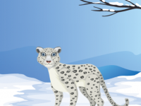 Find Christmas Cap Of Snow Leopard