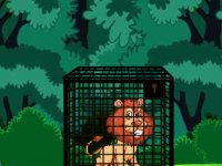 Forest Lion Rescue