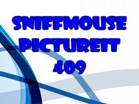 Sniffmouse PictureIt 409