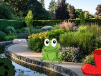 Frog Garden Escape