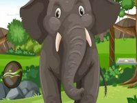 Need For Help From Elephant 07