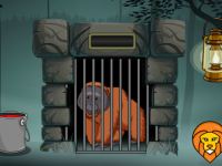 Orangutan Escape From Cage