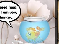 Help The Hungry Fish