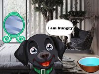 Feed Hungry Black Dog