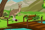 Kangaroo Escape